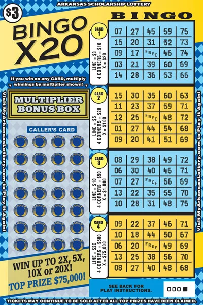 Bingo X20