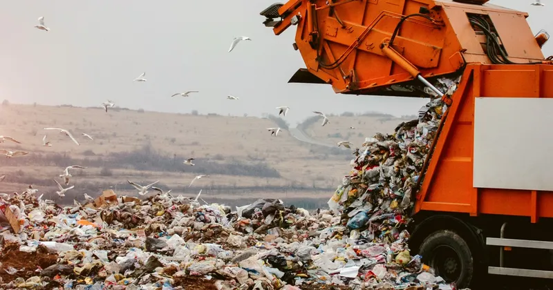 Workers searched 6 tons of garbage to recover a $1.16 million lottery ticket