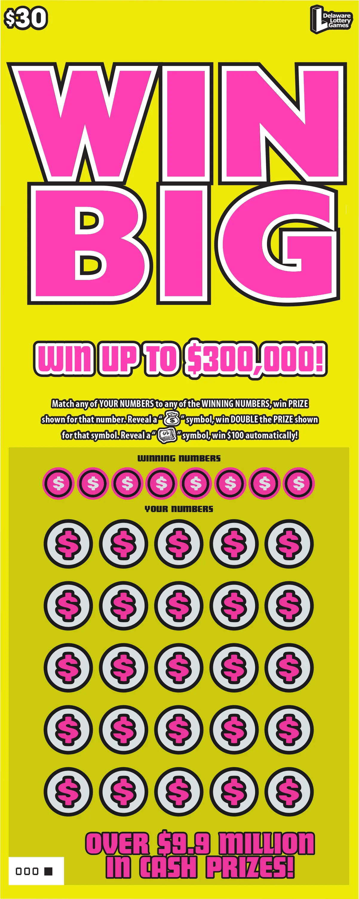 WIN BIG instant game ticket