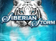 Siberian Storm Georgia Diggi Games game