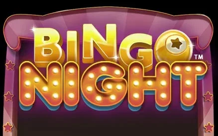 Bingo Night Michigan Online Instant Games game