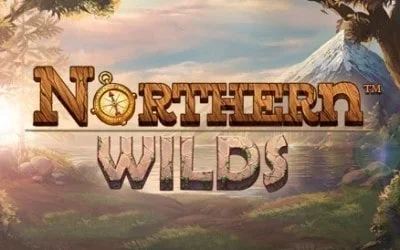 Northern Wilds Michigan Online Instant Games game