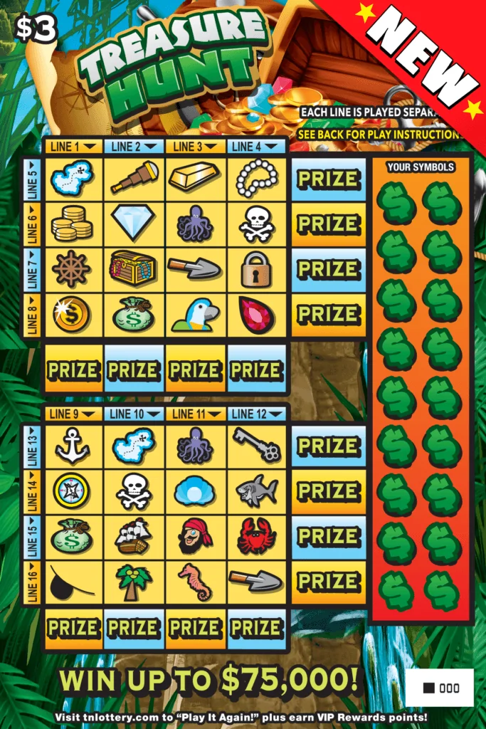 Treasure Hunt