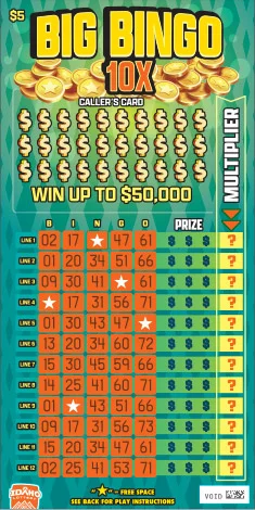 Big Bingo 10X