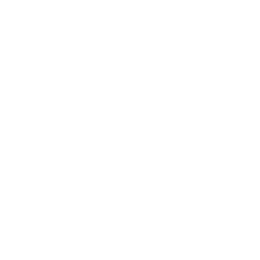 20x