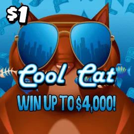Cool Cat