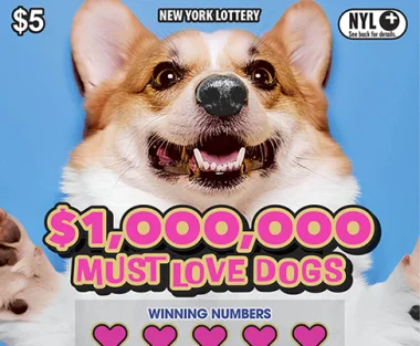 $1,000,000 MUST LOVE DOGS