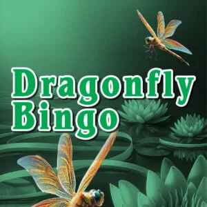 Dragonfly Bingo