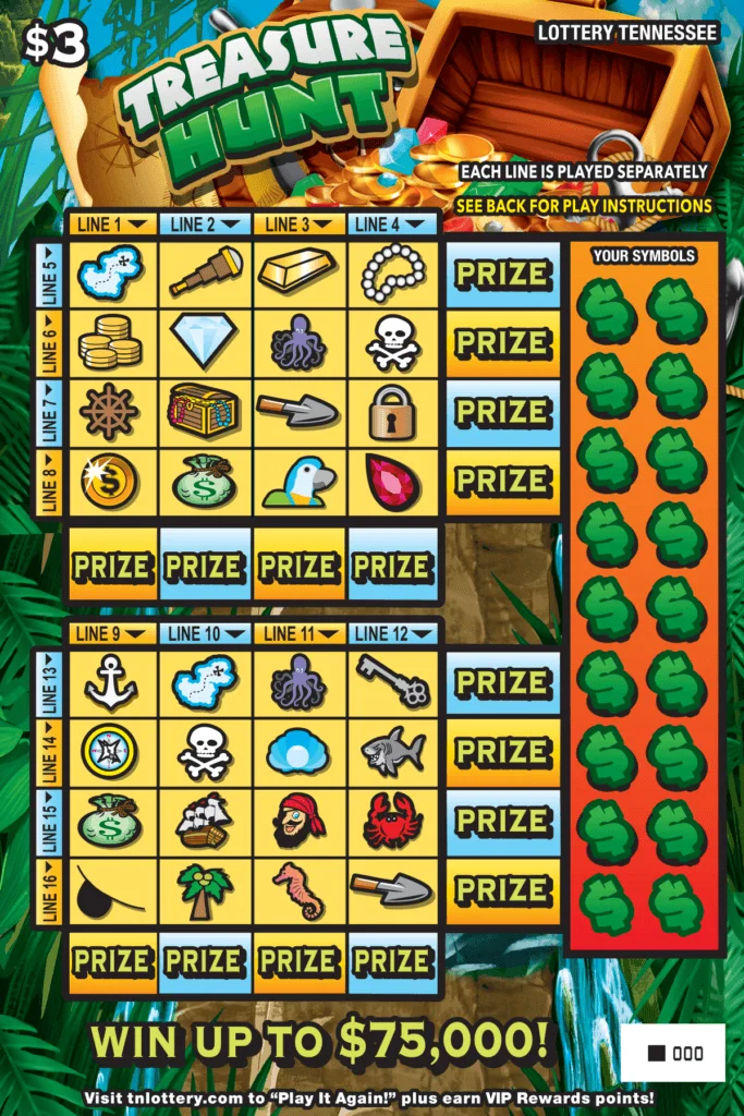 Treasure Hunt